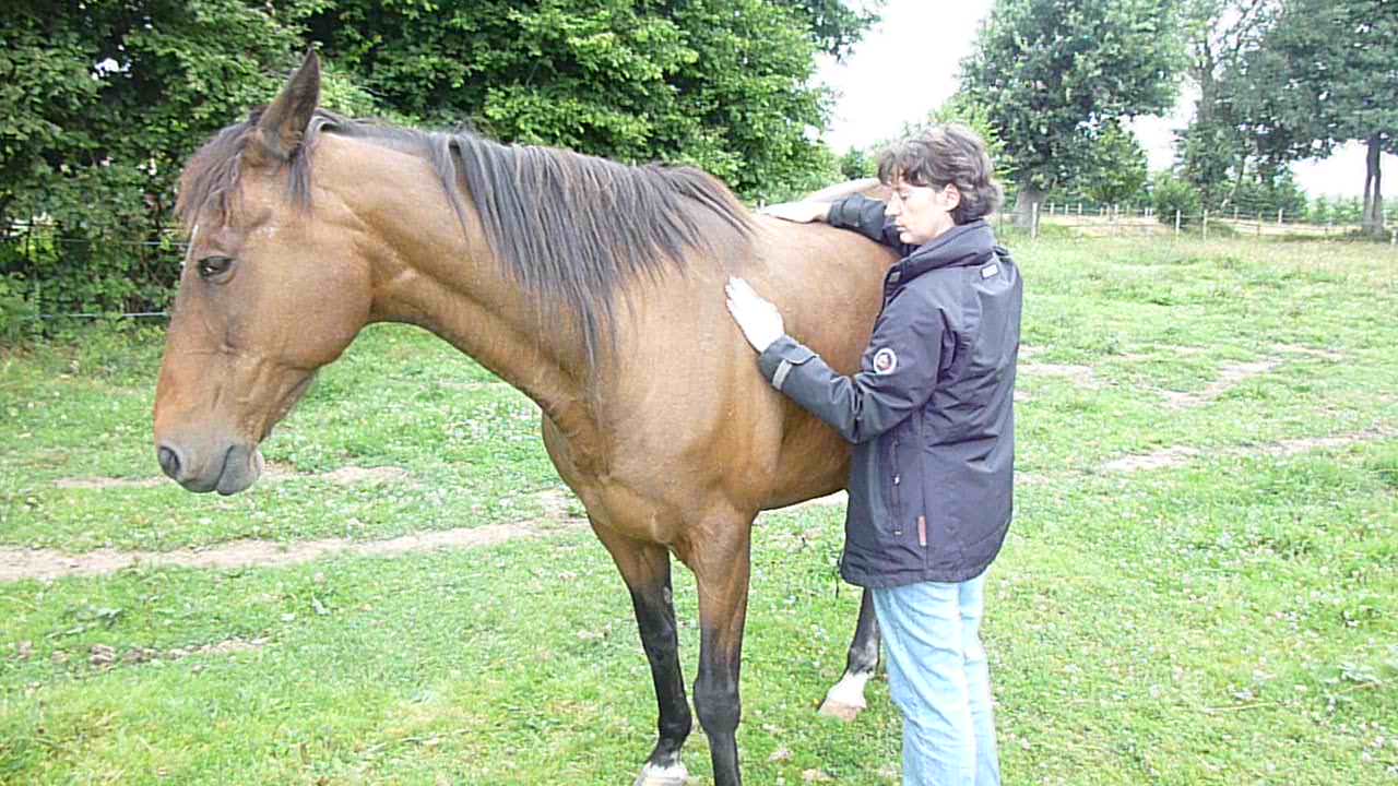 Reiki cheval Uranus